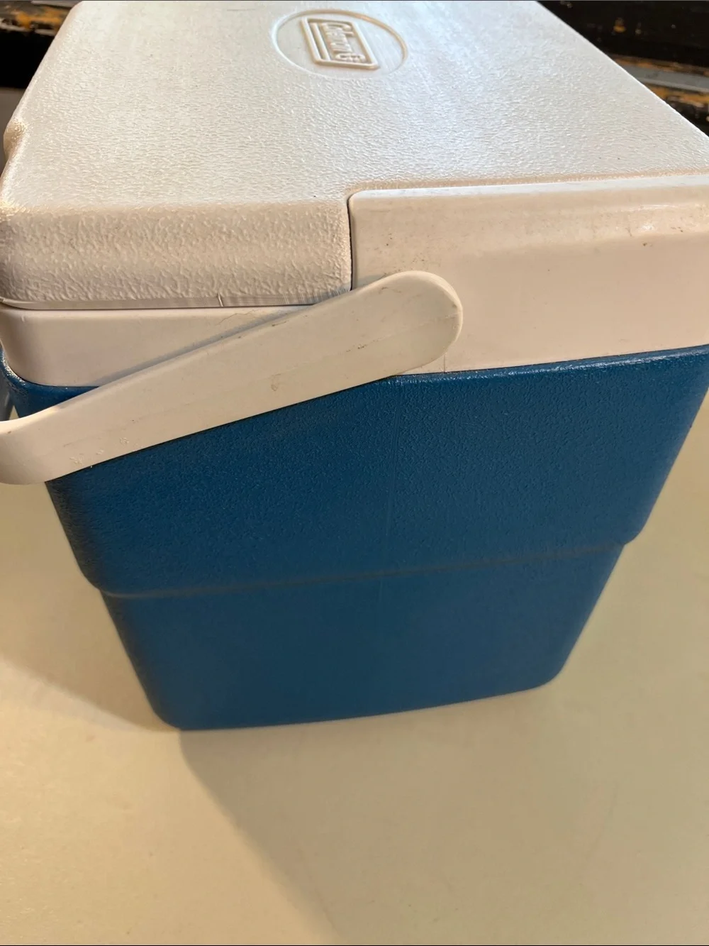 Coleman Blue and White Personal Chiller Cooler